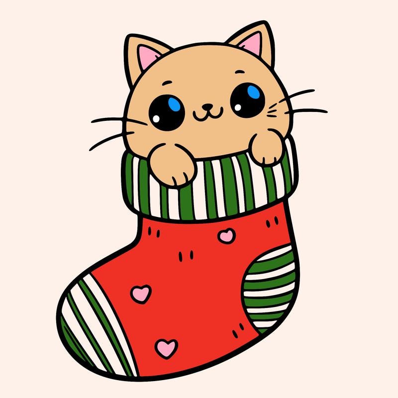 cute cat in a sock