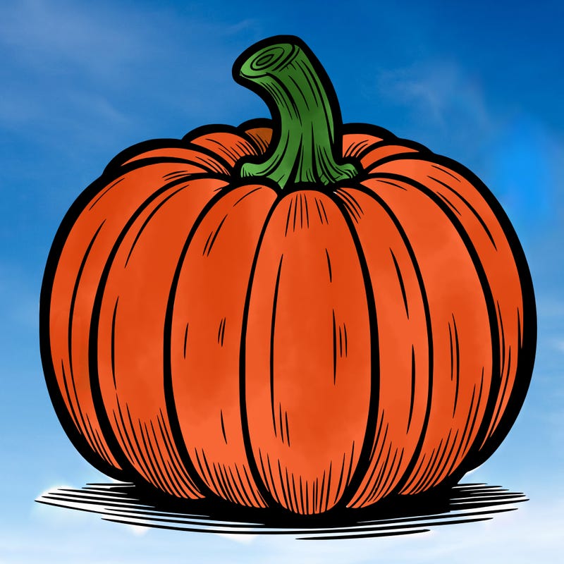 a pumpkin
