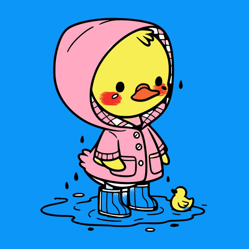 baby duck in a rain coat and boots, in a puddle while it’s raining
