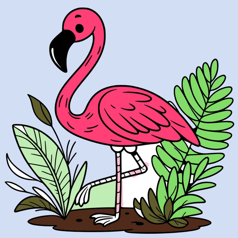 flamingo