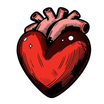 realistic heart