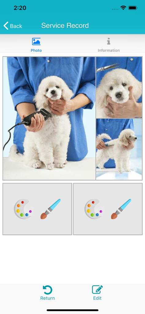 TapGroom - Pet Grooming Salon - TapGroomアプリのサービス記録画面。トリミング中のプードルの写真が表示されています