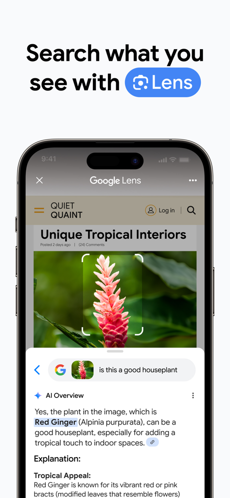 App Google Chrome che utilizza Google Lens per identificare una pianta tropicale su un iPhone