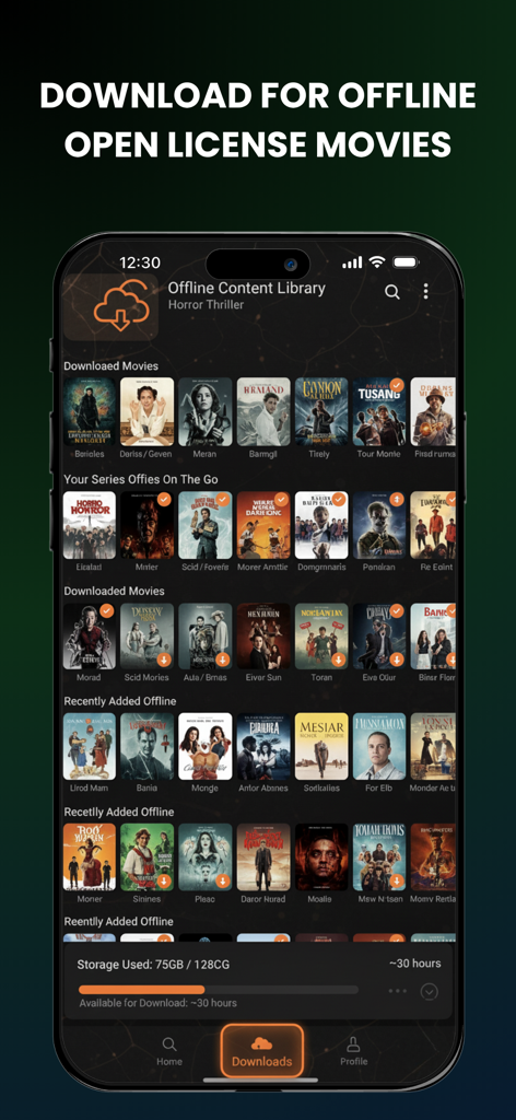 Captura de tela do aplicativo FreePlay mostrando uma biblioteca de conteúdo offline com filmes baixados e informações de uso de armazenamento.