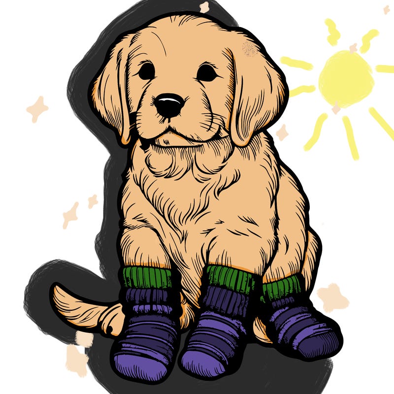 realistic dog with socks on