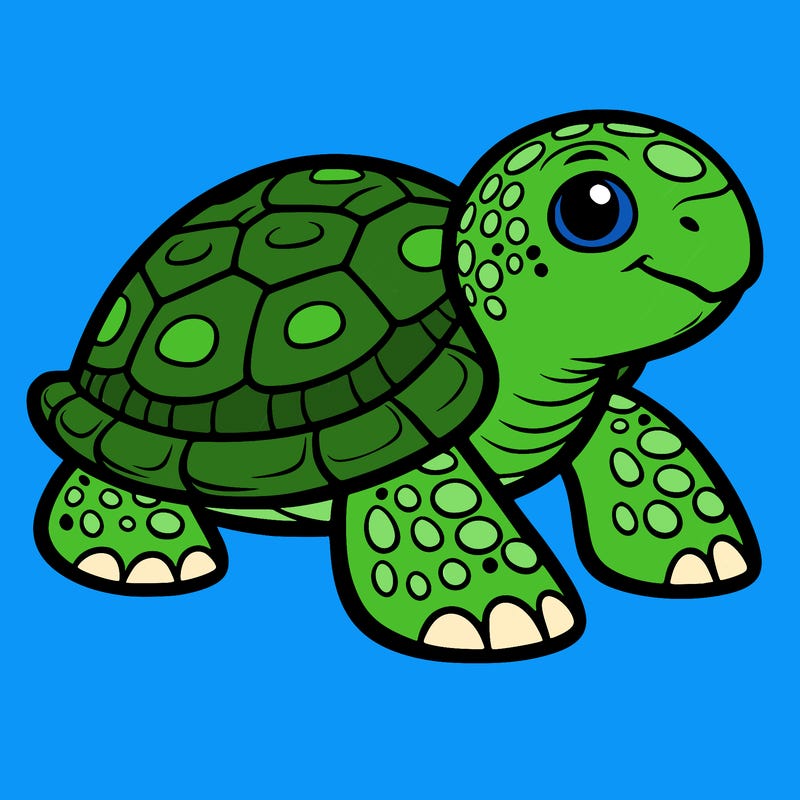 turtle