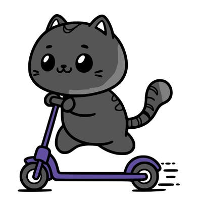 a cat scootering