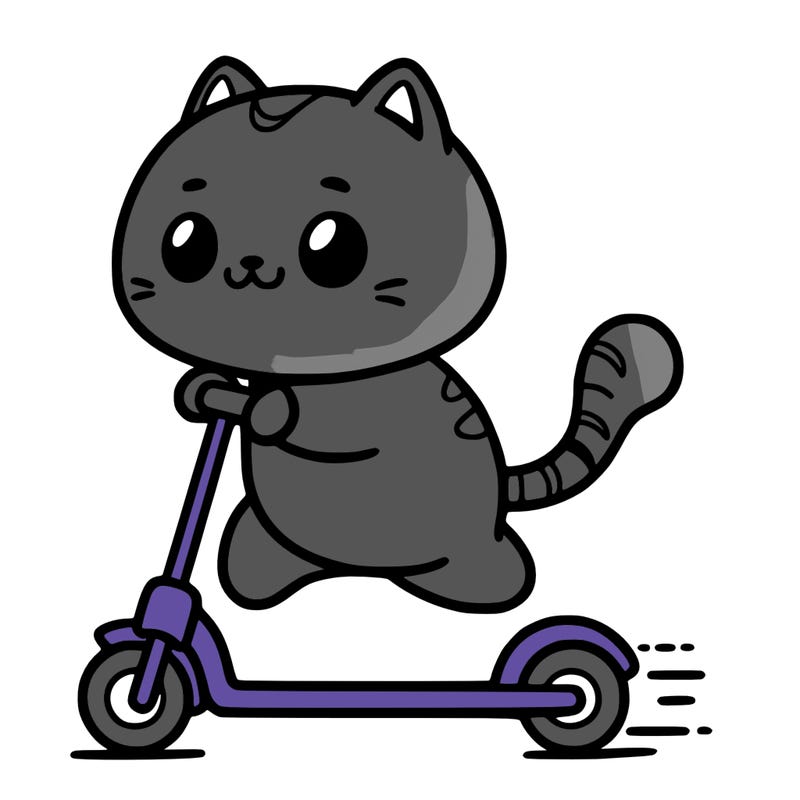 a cat scootering