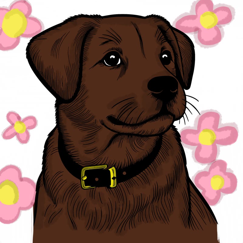 dog realistic