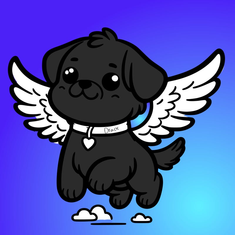 dog with wings