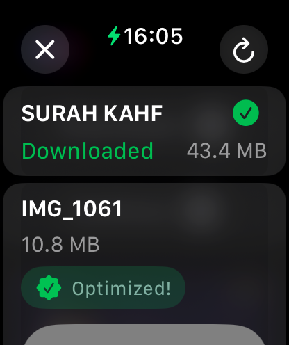 WatchClips - WatchClips Apple Watch アプリのダウンロード済みメディアファイルと最適化ステータスを表示する画面