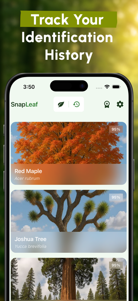 Plant Identifier - SnapLeaf - Mobile app screen showing a history of identified trees including Red Maple and Joshua Tree