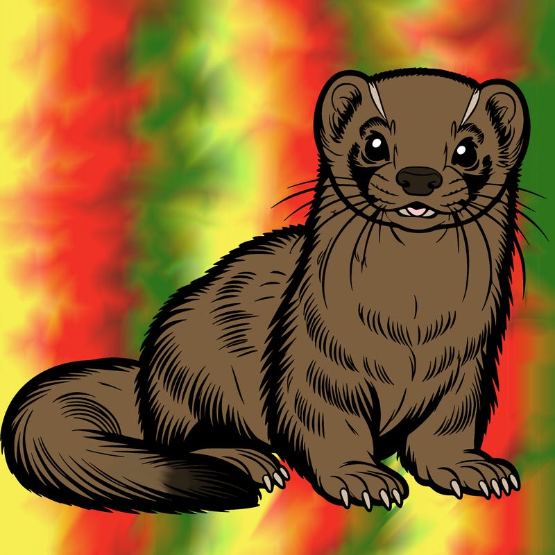 ferret that is realistic