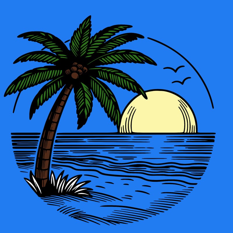 palm tree beach sunset