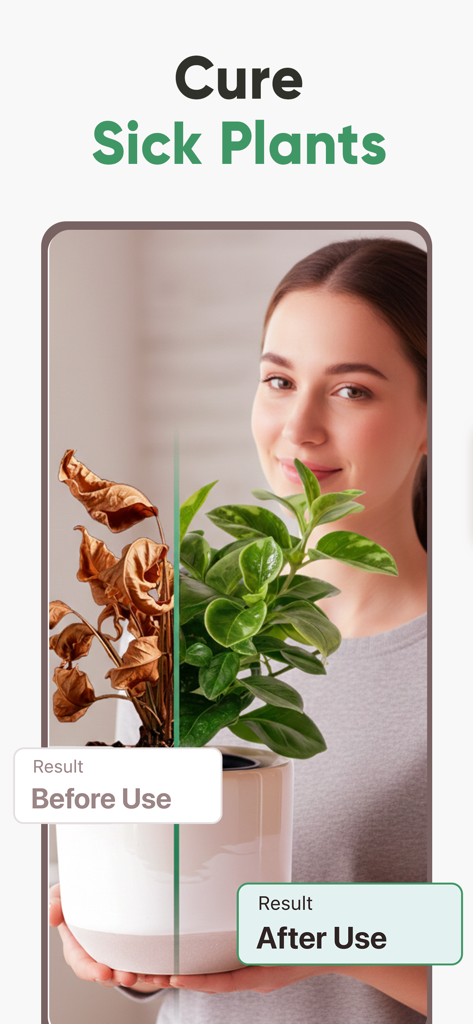 Plant ID: Plant Identifier AI - Eine Frau hält eine Pflanze mit einem Vorher-Nachher-Vergleich, der eine braune, welkende Pflanze zeigt, die sich in eine gesunde, grüne verwandelt hat.