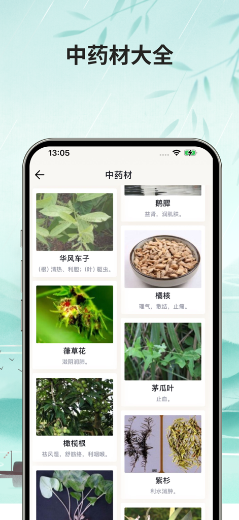 本草中医离线版-人体穴位图针灸中药方剂药膳食疗健康食谱大全 - Ein Bildschirm einer mobilen App, der eine Sammlung traditioneller chinesischer Heilkräuter mit Bildern und gesundheitlichen Vorteilen zeigt.