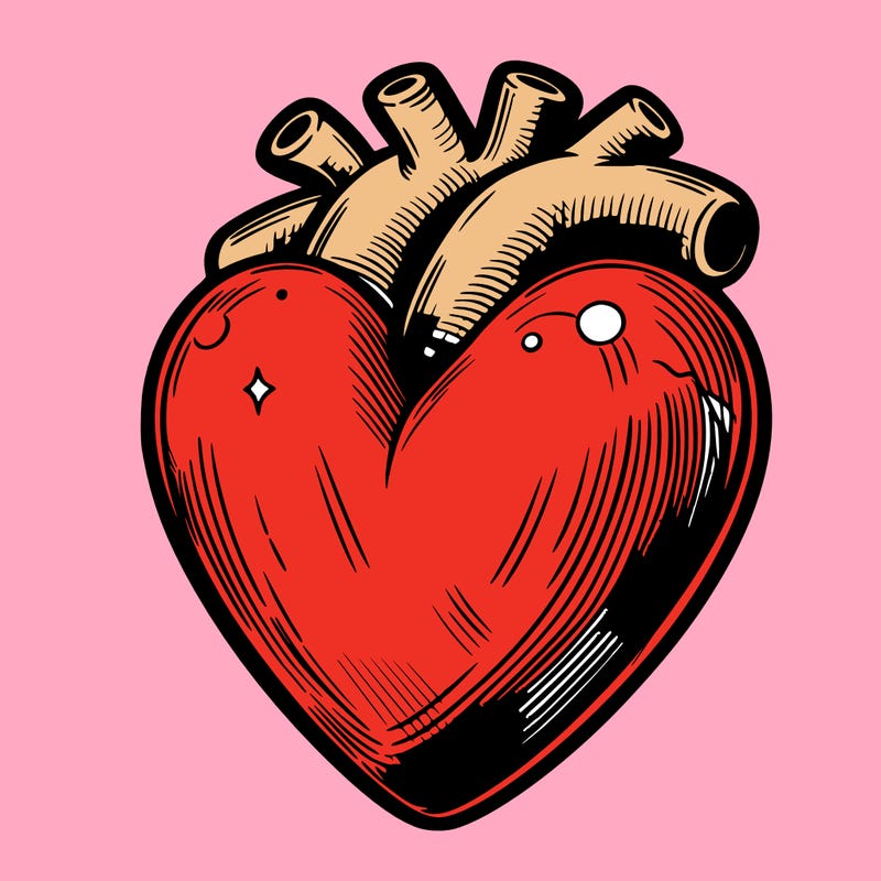 realistic heart