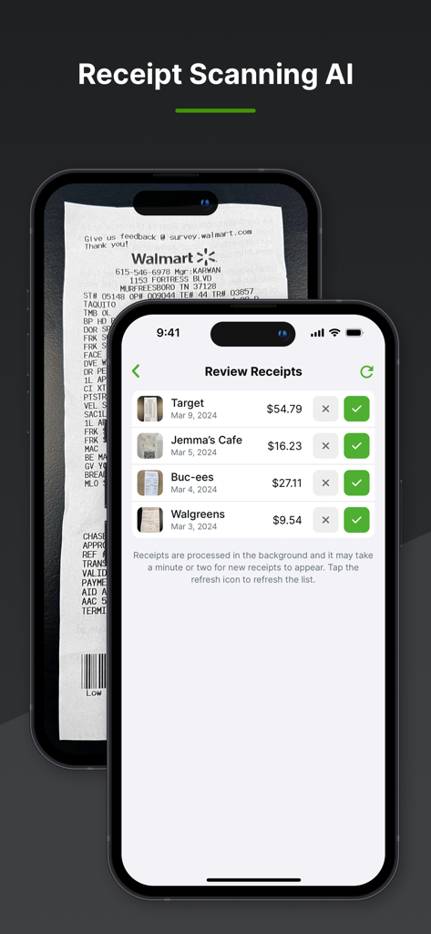 Balance Pro: Money & Budget - Balance Pro app interface showing the AI receipt scanning and review feature on an iPhone