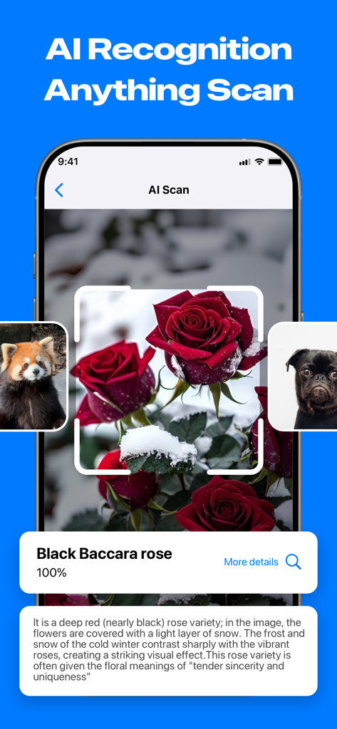 VibeScan: QR Scanner - VibeScan app interface showing AI recognition identifying a Black Baccara rose.