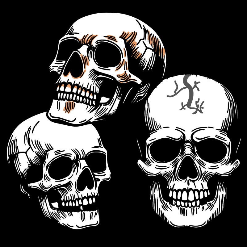skulls