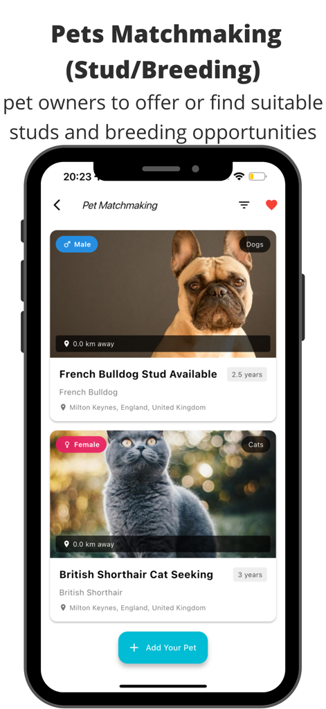 Pets Home: Rehome & Adopt Pets - Mobile app screen showing pet matchmaking for dog studs and cat breeding listings