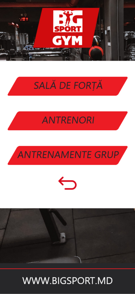 BigSportGym - BigSportGym app menu screen showing navigation buttons for gym facilities, trainers, and group training classes