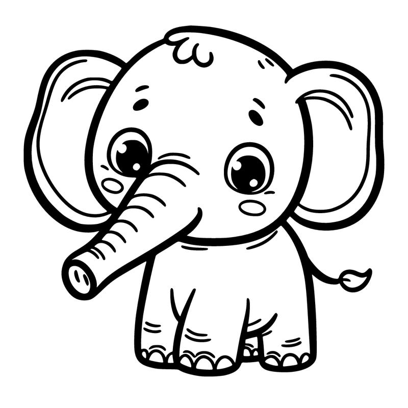 cute elephant