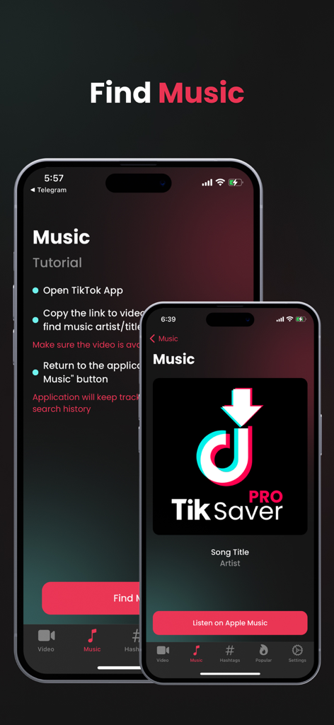 Tik Saver Pro app interface showcasing the music identification feature for TikTok videos on iPhone