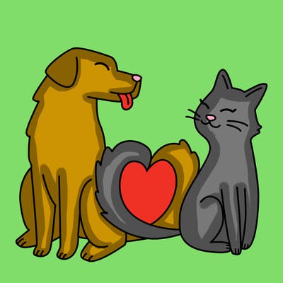 animals_22