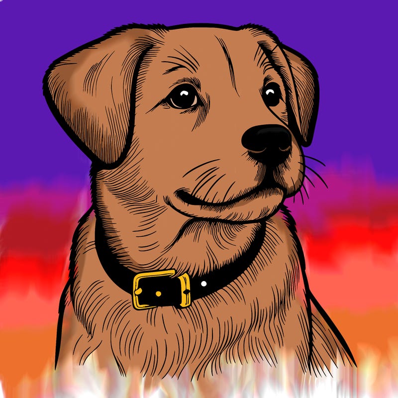 dog realistic