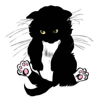 animals_20