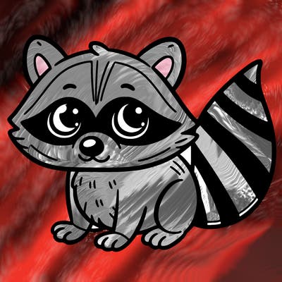 racoon