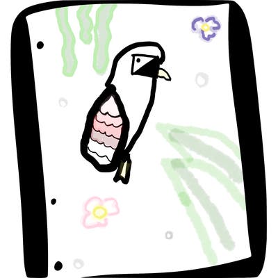 blank white page with nothing drawn on it