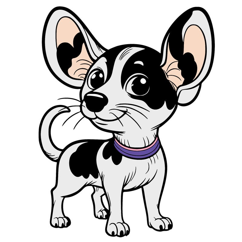 rat terrier mix chihuahua