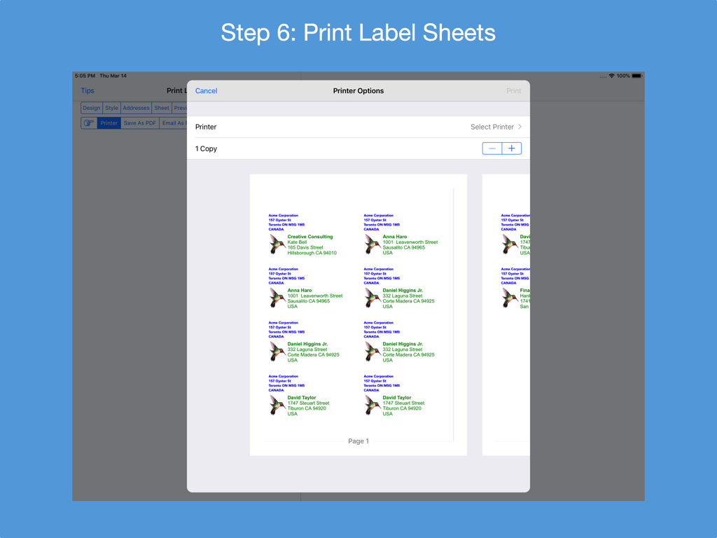 Address Label Creator app printer options screen on iPad showing a preview of customized address labels with illustrations