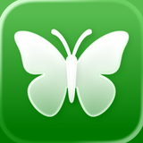 Butterfly Identifier with AI