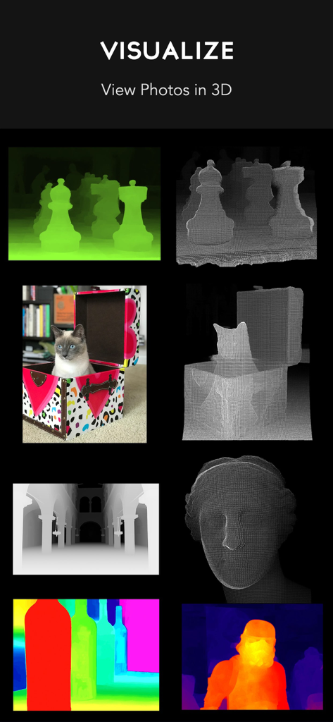 Depth Cam - Depth Editor - A grid of images demonstrating 3D photo visualization and depth map renderings in the Depth Cam app.