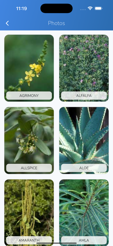 iPlant with Brigitte Mars - Grade de fotos de plantas de alta resolução para identificação no aplicativo iPlant