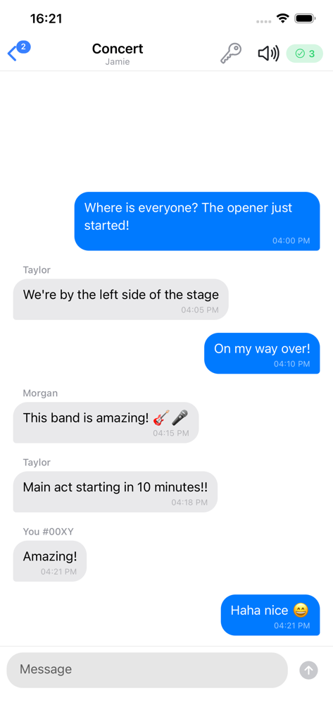 Chat Local: Offline Messaging - Group chat interface of the Chat Local app showing friends coordinating at a music concert without cellular service