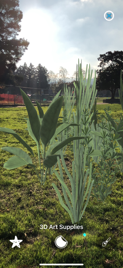 Magic Fish AR - Magic Fish AR app showing 3D plants and seaweed decorations placed in an outdoor park using augmented reality