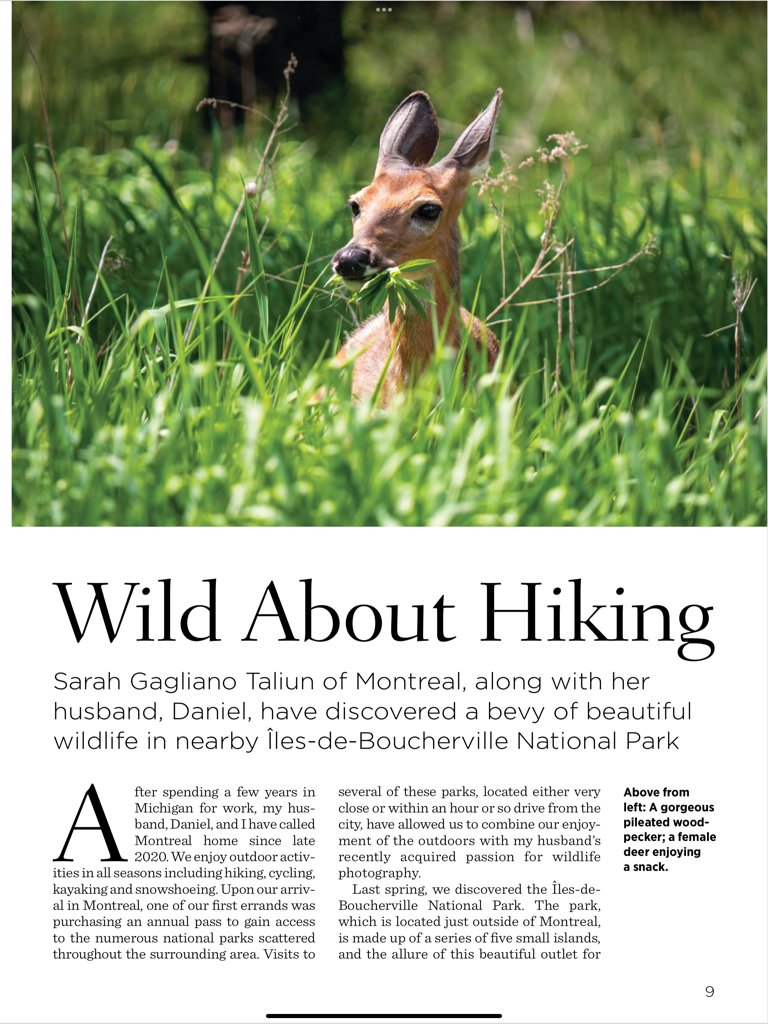 Página da revista do aplicativo Our Canada intitulada Wild About Hiking, com foto de um veado em grama alta