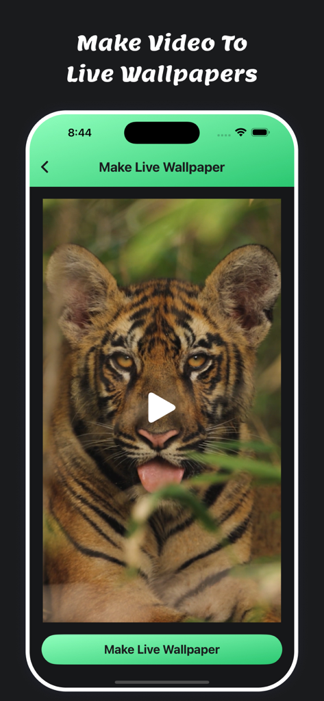 Mute Video : Remove Sounds - Oberfläche der App, die den Prozess der Erstellung eines Live-Hintergrunds aus einem Videoclip eines Tigerbabys zeigt