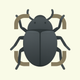 Picture insect - AI Identifier