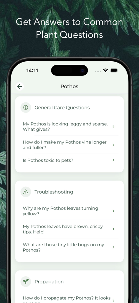Plant Doctor: AI Disease ID - Interfaz de la aplicación Plant Doctor mostrando preguntas comunes de cuidado y solución de problemas para plantas Potos