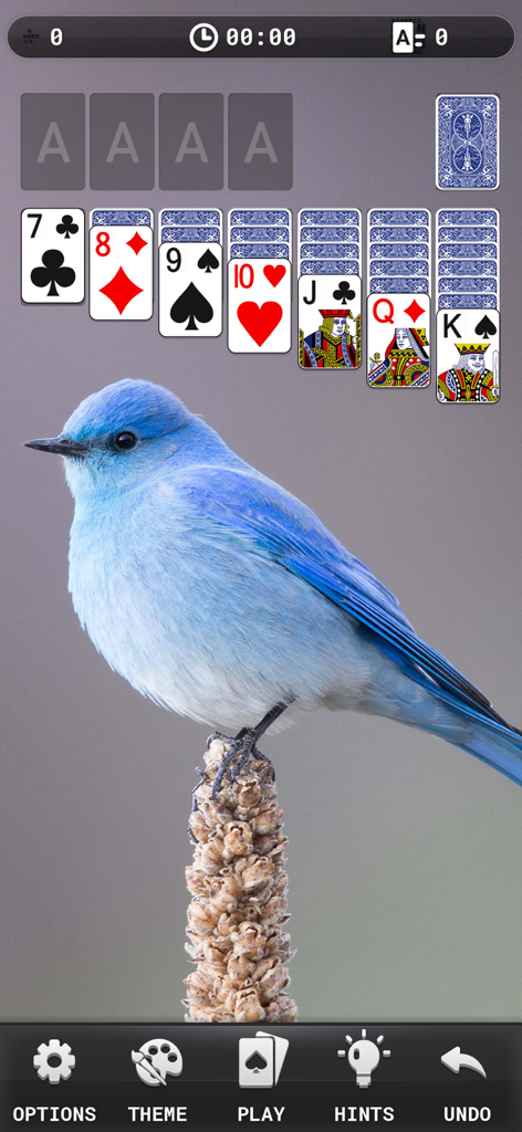 Solitaire Classic - Classic - Juego de cartas de Solitario con un fondo personalizado de pájaro azul y cartas grandes fáciles de leer