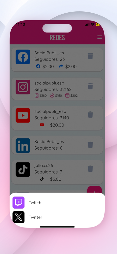 Socialpubli.com Influencers - Panel de la aplicación Socialpubli Influencers que muestra los perfiles de redes sociales vinculados con el número de seguidores y las ganancias