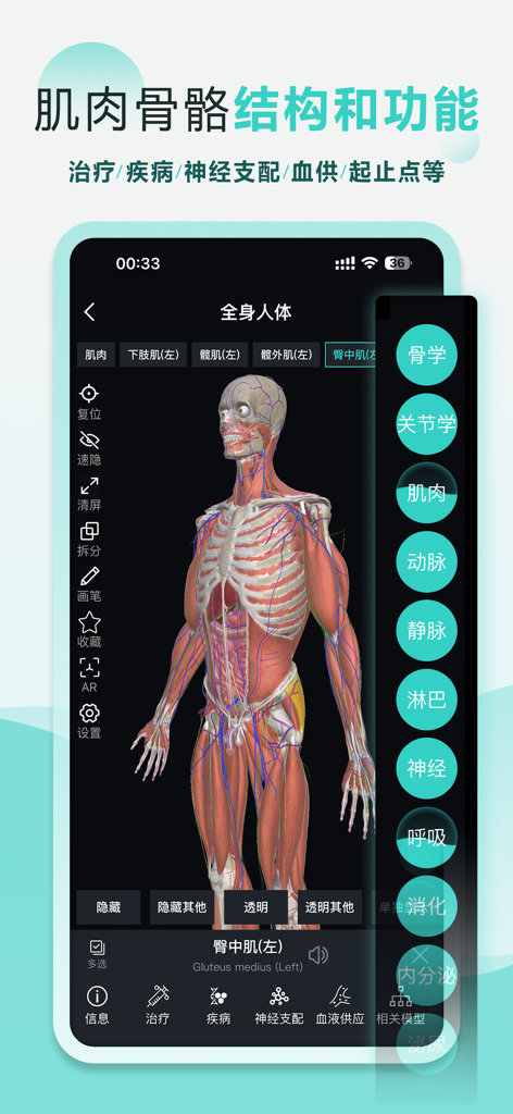 掌上3D解剖 - Interface of the Pocket 3D Anatomy app showing a detailed 3D model of the human musculoskeletal system with various anatomical layers