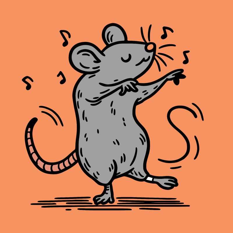 rat dance