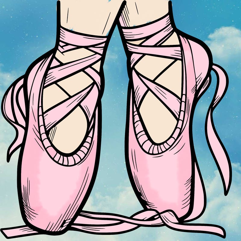 ballet shoes