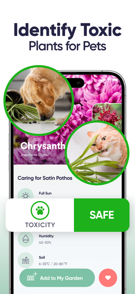 Mobile app interface showing pet safety and toxicity identification for indoor plants with cat and dog photos